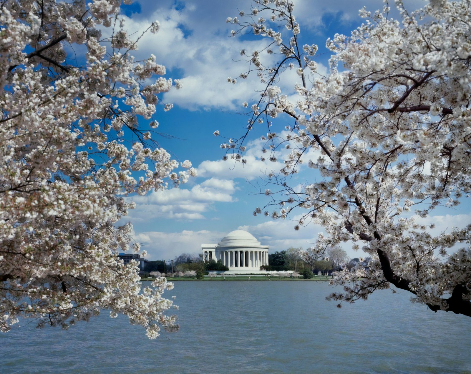 OFAC removes Syria licence from terrorism regulations