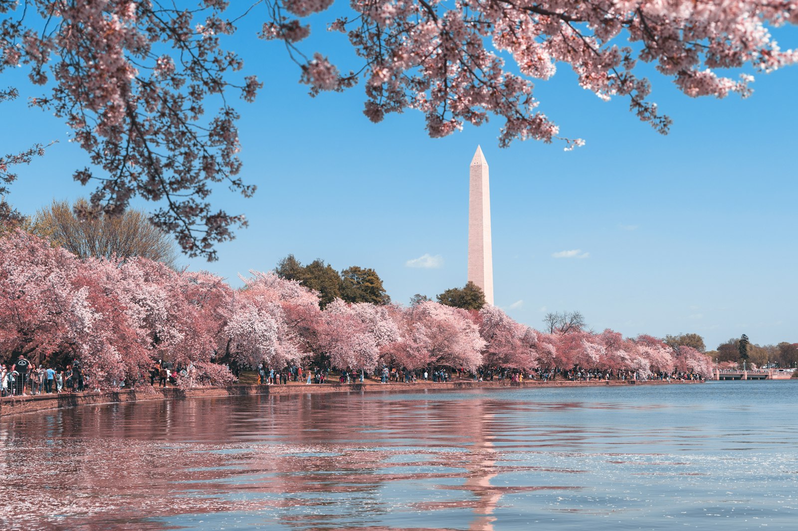 OFAC sets separate Iran wind-down routes and deadlines